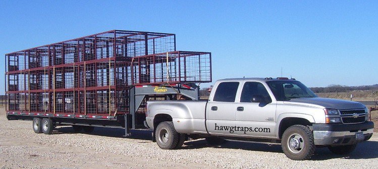 hawgtraps