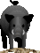 gifhoganim