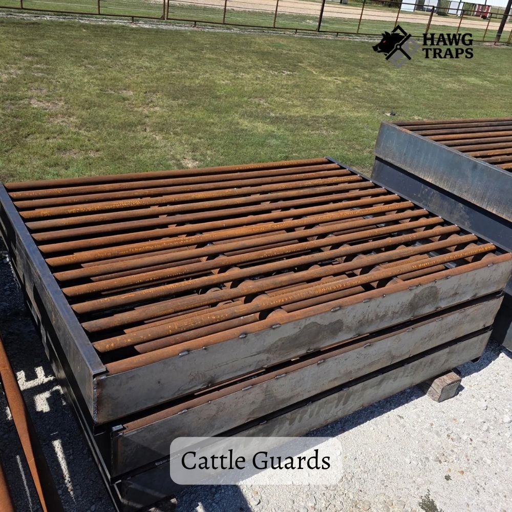Cattle Guard