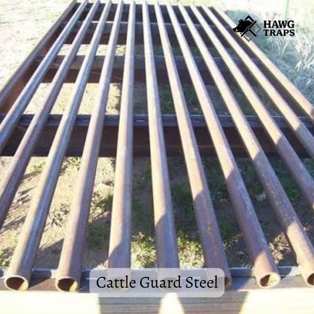 cattle guard