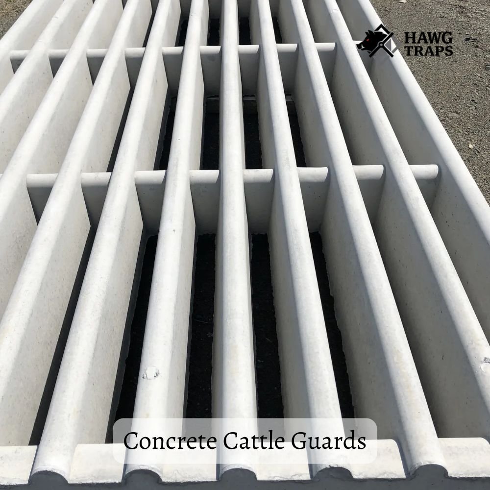 concrete cattle guards