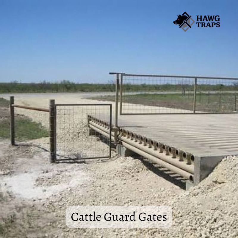 Cattle Guard Gates