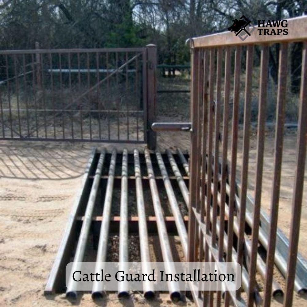 cattle guard installation