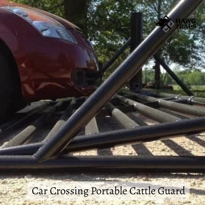 Car crossing portable cattle guard