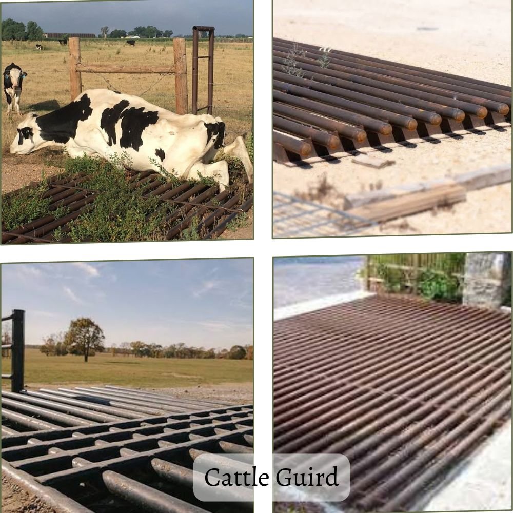 cattle guard
