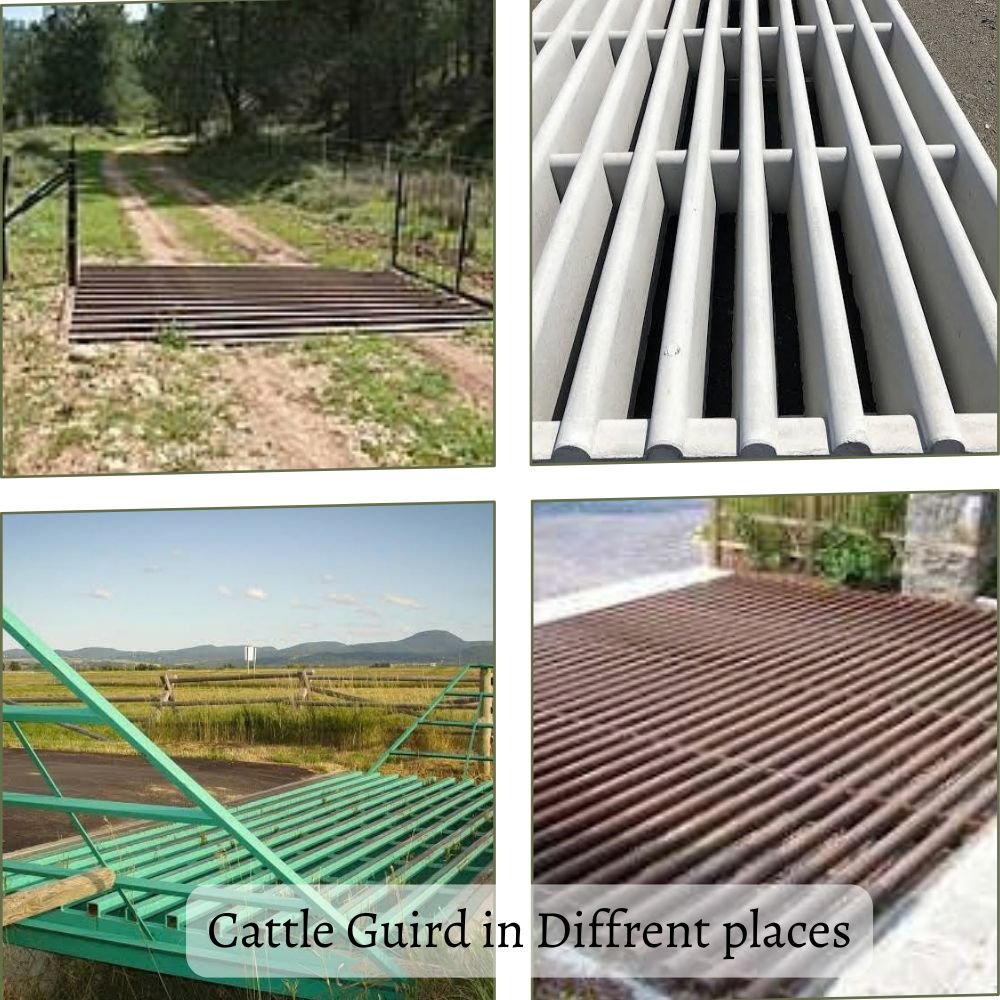 Cattle guard in diffrent places