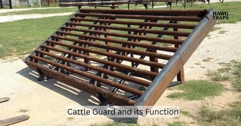 What Is a Cattle Guard