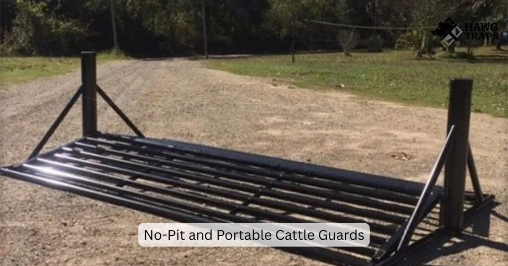 No-pit cattle guard set on the ground surface with ramps