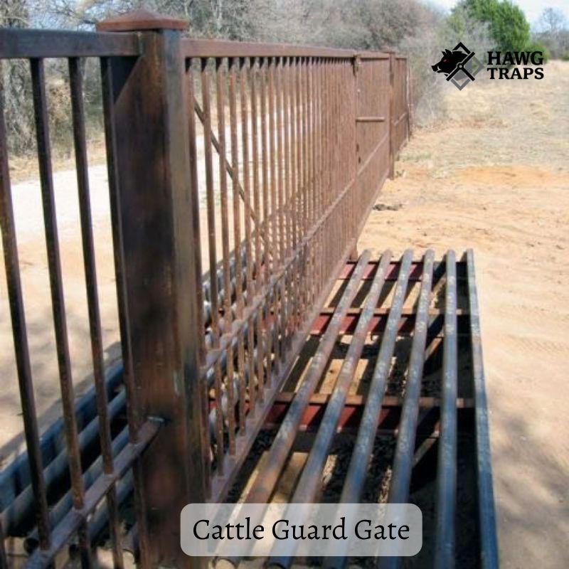 Cattle Guard Gates