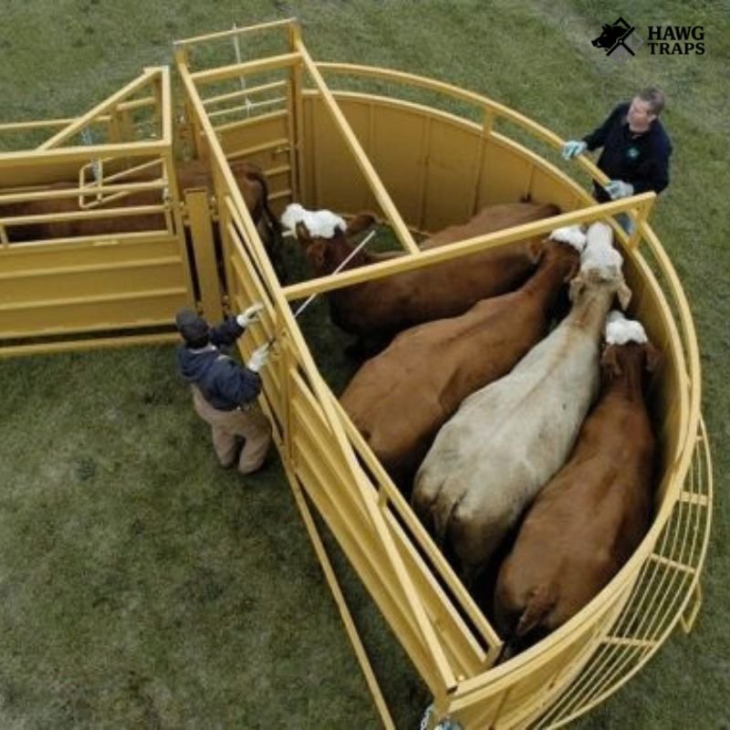 Ranch Equipment