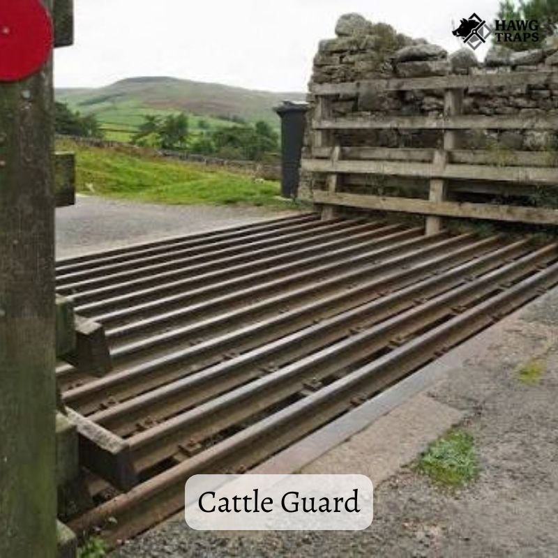 Cattle Gates