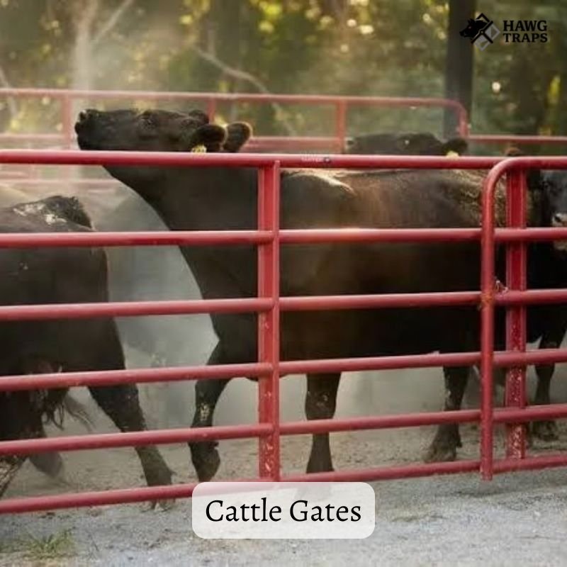 Cattle Gates