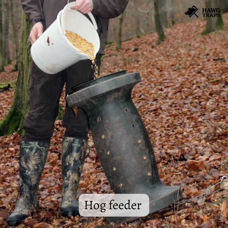 Feral Hog Control