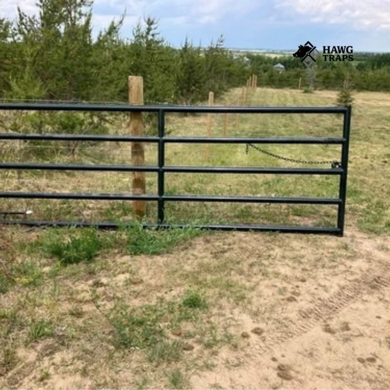 Pipe Ranch Gate Entrances