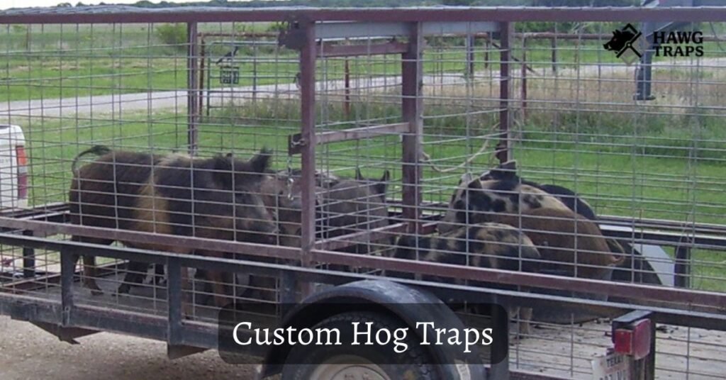 Custom Hog Traps
