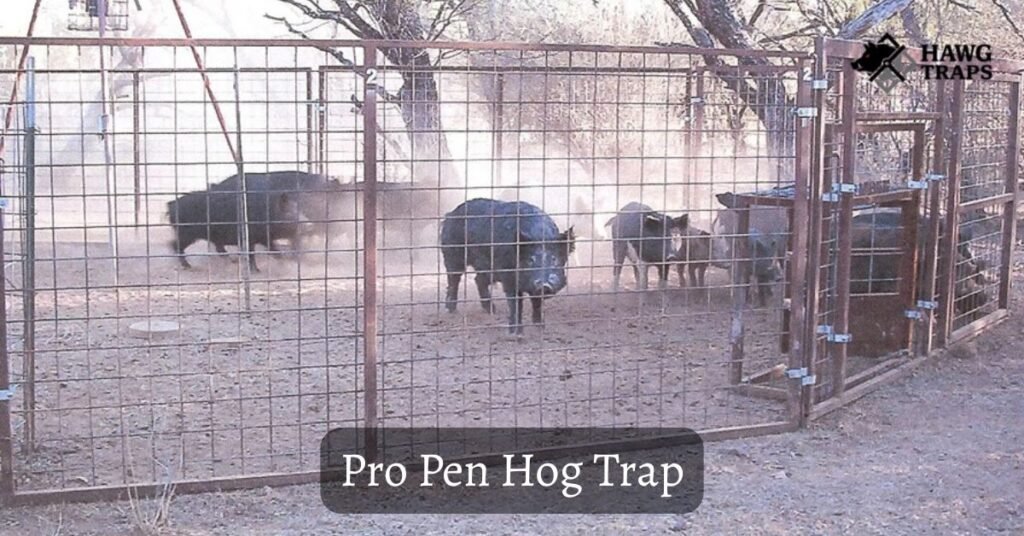 Pro Pen Trap