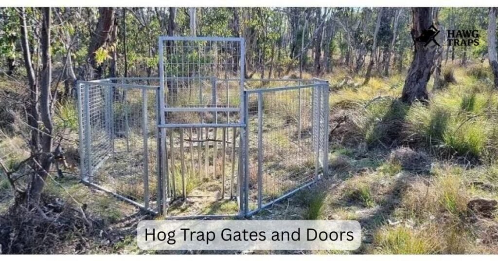 Hog Trap Gates and Doors