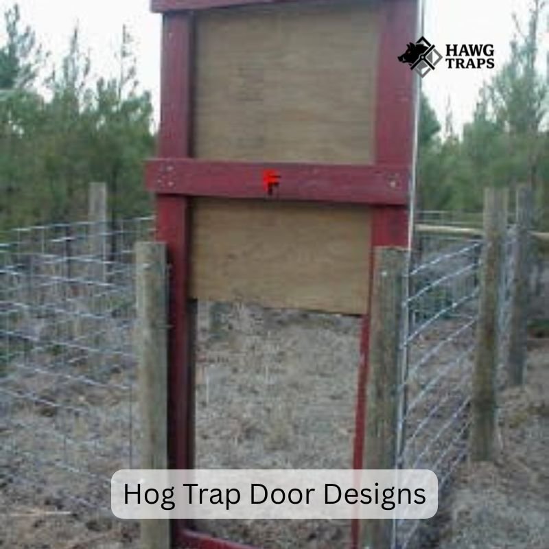 Hog Trap Door Designs