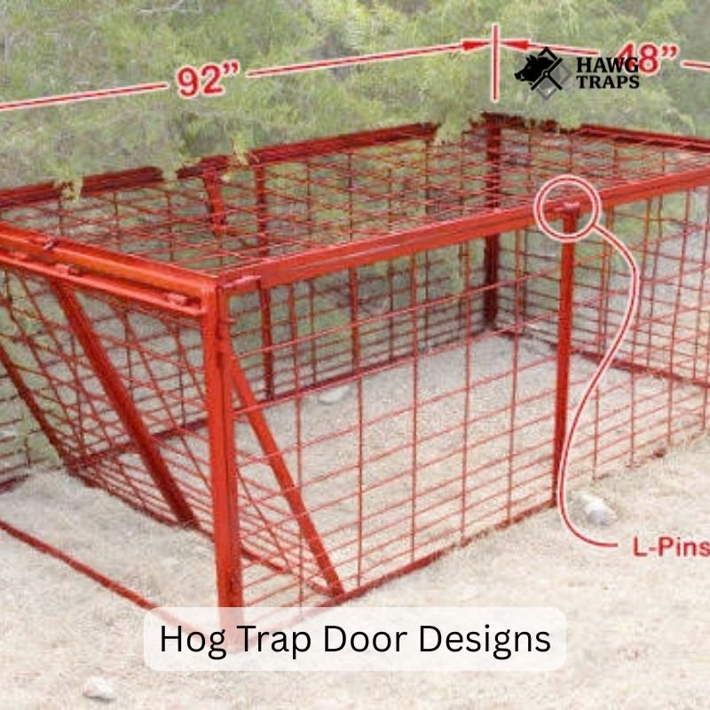 Hog Trap Door Designs