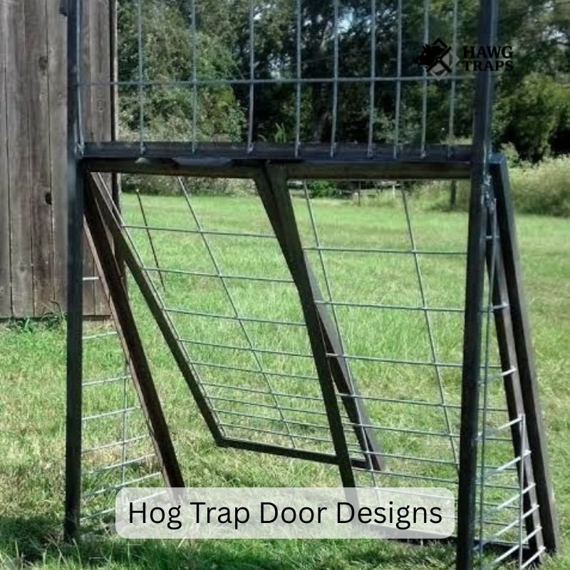 Hog Trap Door Designs