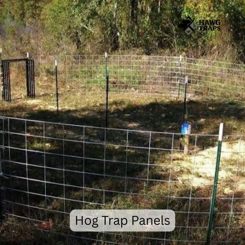 Hog Trap Panels