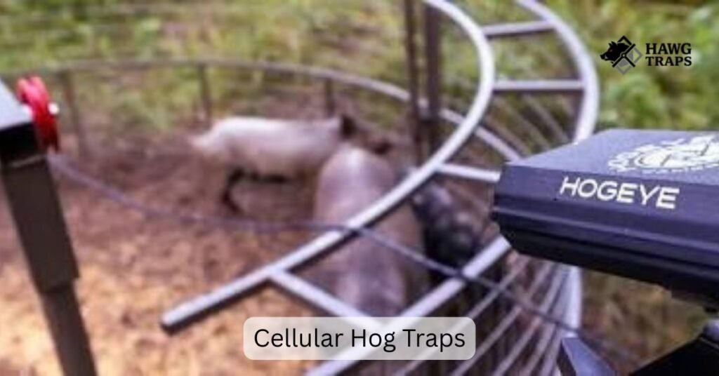 Cellular Hog Traps