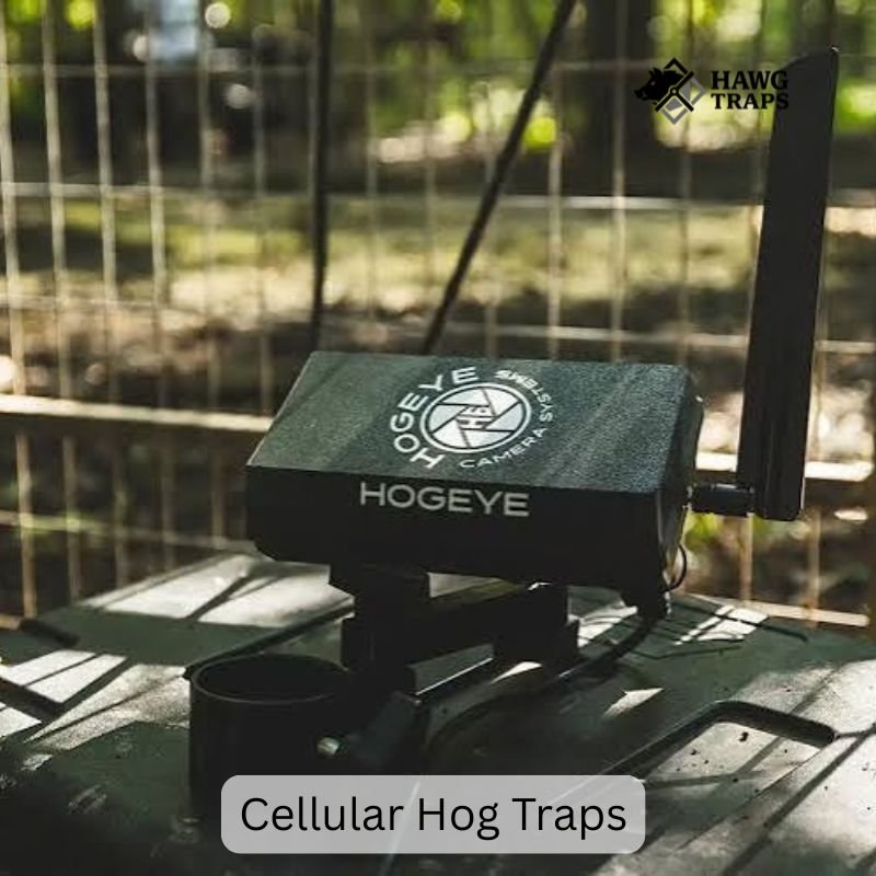 Cellular Hog Traps