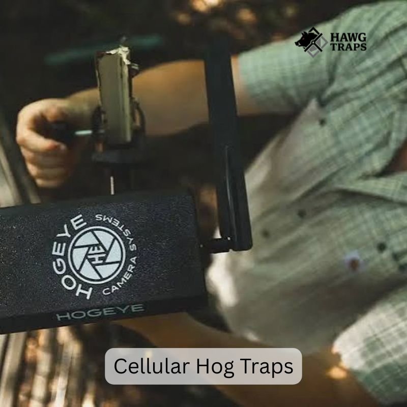 Cellular Hog Traps