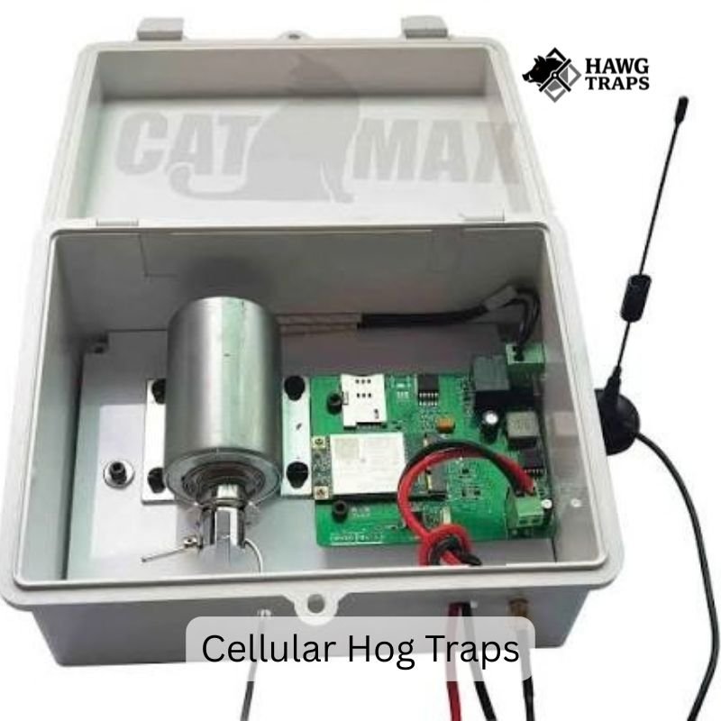 Cellular Hog Traps