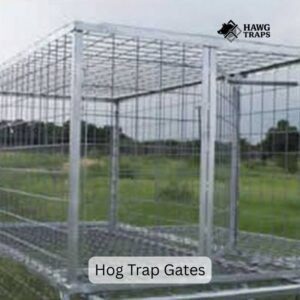 Hog Trap Gates and Doors 