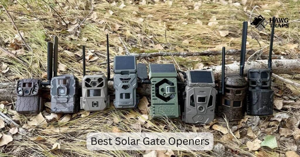 Cellular Trail Cameras for Hog Traps