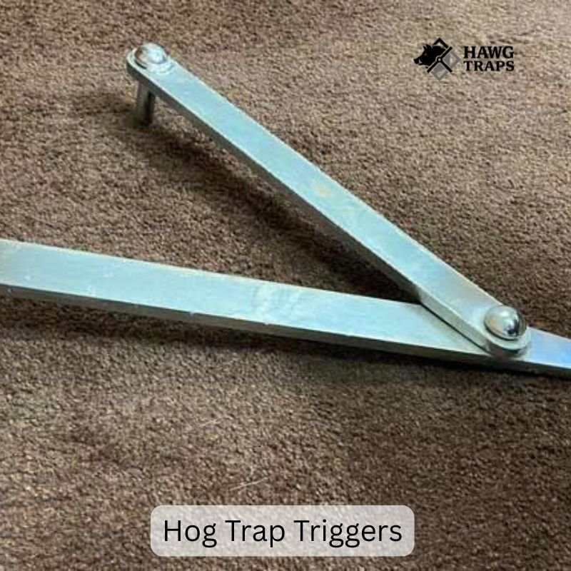 Hog Trap Triggers