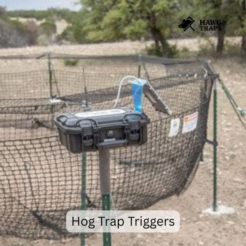 Hog Trap Triggers