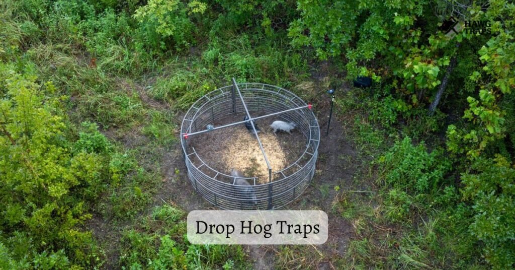 Drop Hog Traps