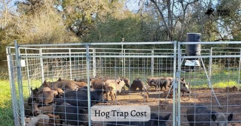 Hog trap Cost