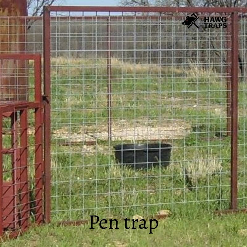pen trap
