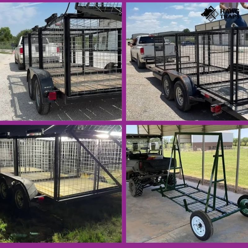 hog trap trailer